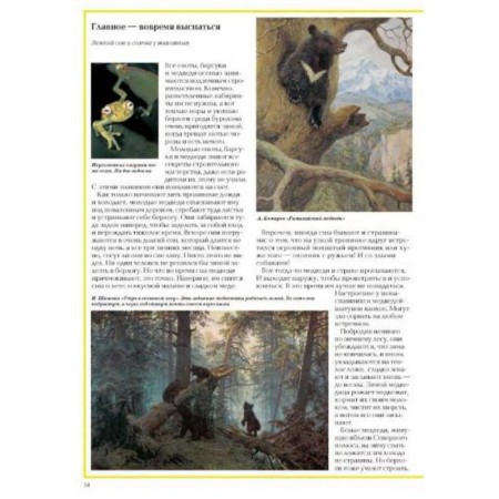 Riddles of the animal world-2