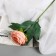 Artificial flowers "Peony Pijon" d-8 cm 45 cm, pink