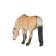 Figure Konik "Fjord mare"
