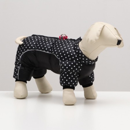 Kombinson for dogs "Golshek", size 10 (DS 25, OG 34, Osh 24 cm), black