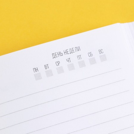 Diary A5, 80 L "Case in the Hat" 18+-4