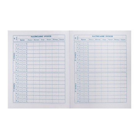 School diary for grades 1-11, "marmalade bear", a solid cover, print on holographic lamination, glossy lamination, an offset block 65g/m2, a universal cheat sheet, 48 sheets-5