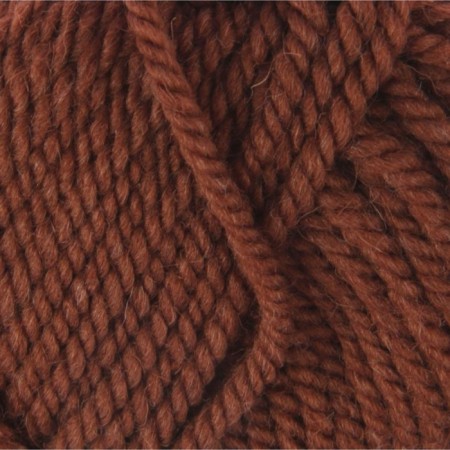 Yarn "Winter option" 95% implements, 5% acrylic volume 100m/100g (416-sv. Brown)