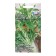 Salad Seeds "Dr. Diabetes", 0.5 g