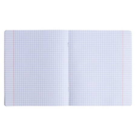 Notebook of 48 sheets in the Erichkrause Lettering cage, cover coated cardboard, OFSET block, 5V, mix-1
