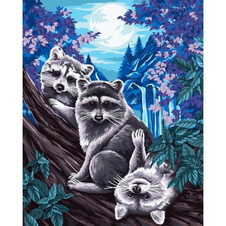 Picture on numbers on a canvas with a subframe "Raccoon under the moon", 40 x 50 cm-1