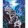 Picture on numbers on a canvas with a subframe "Raccoon under the moon", 40 x 50 cm