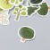 Stickers for creativity "Trees in the forest" set 46 pcs 4.4x4.4x1.1 cm