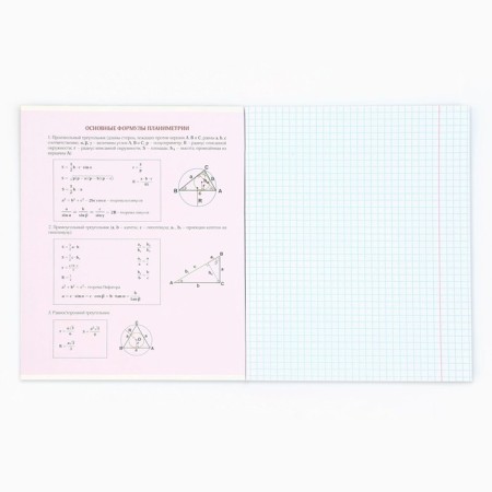A notebook 48 sheets, A5 on the paper clip Block No. 1 “September 1: Anime Comic. Geometry”-2