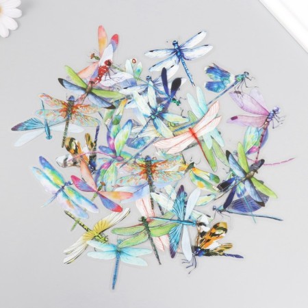 Stickers for creativity PLC PVC "Dragonfly" set 40 pcs 9x10.5 cm-1