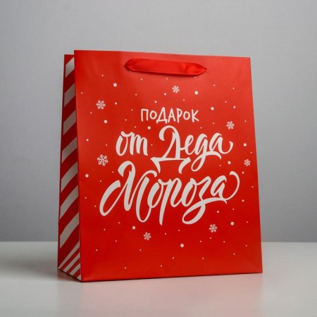 Package Laminated Vertical “Gift from Santa Claus”, ML 23 x 27 x 11.5 cm, New Year-1