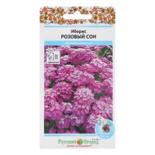 Flower seeds Iberis 