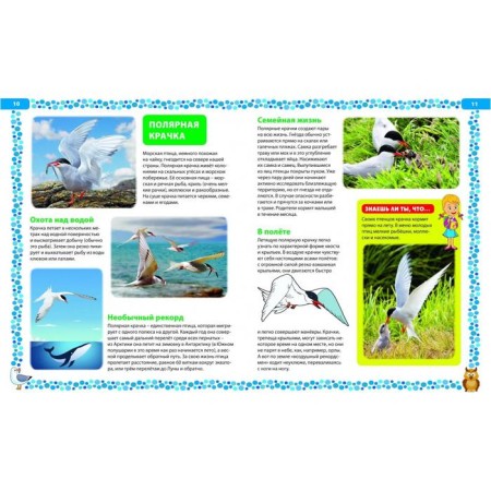 Big book about birds. Illustrated encyclopedia-2