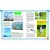 Big book about birds. Illustrated encyclopedia