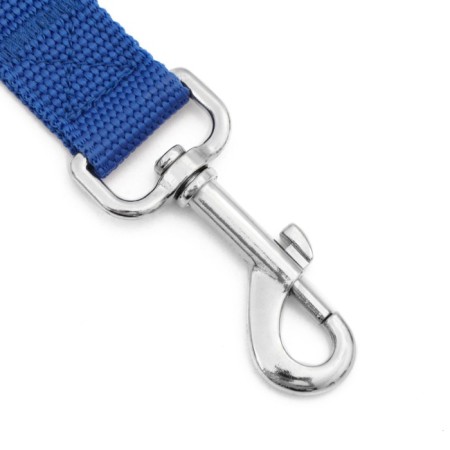 Leash 7 m x 2.5 cm, blue-1