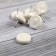 Furniture round tundra, d = 24 mm, 8 pcs., Plastic, white color