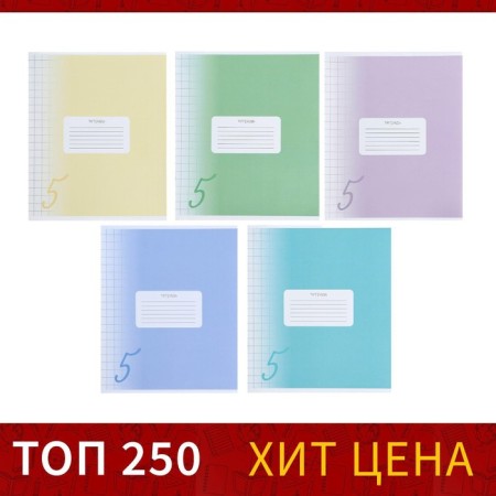 Notebook of 12 sheets in the large Calligrata "Five", cover colested cardboard, VD-psy, OFSET BOLK, Belility 95%, MIX