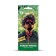 GRASS "Prince of Forest" flavor, cardboard
