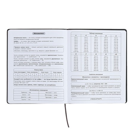 The universal diary for grades 1-11 is "anime", a solid cover made of artificial leather, application, lies, 48 ​​sheets, blue-7