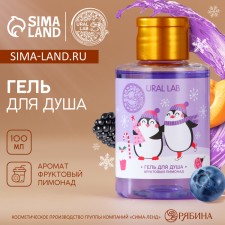 Shower gel, 100 ml, aroma of fruit lemonade, Ural Lab