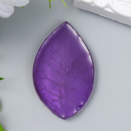 Mold Plastic "Universal leaf 156" 5.5x3.5 cm mix-3