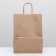 Craft package without printing, round handle 26 x 15 x 35 cm, set 10 pcs