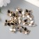 Buttons plastic for creativity on the leg "butterfly" set of 15 pcs mix 1.6x1.4 cm