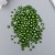 Coniferous