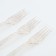 Plastic “shine” forks, set 12 pieces, color gold