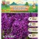Hyacinth Vostochny Perpl Senseishen, rr 14/15, 4 pcs, autumn 2024