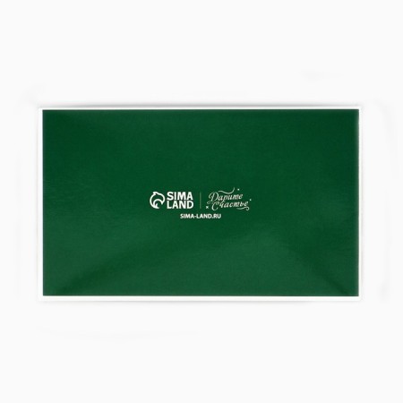 Box for 2 sweets with cells "New Year's botanist", 10 x 6 x 3 cm, New Year-3