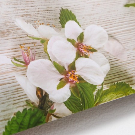 Photophone bilateral paper 300 grams "Flower buds" 57x87 cm-4