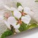 Photophone bilateral paper 300 grams "Flower buds" 57x87 cm
