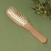 Massage comb “SWAR”, 5 × 23 cm, color “Light Wood”