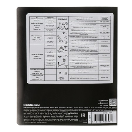 A set of subject notebooks of 48 sheets, 12 pieces, Erichkrause "Persons", plastic cover, coated cardboard, Bloc Offset 100%, info-block-21