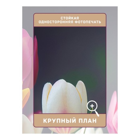 Photostes "Spring tulips", Saten, size 145x265 cm, 2 pcs-2