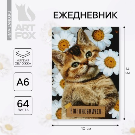 Diary A6, 64 liters. "Kitty"