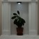 Night Pushlite "single" LED 1W 2haa black 10x10x4 cm Risalux