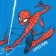 Marvel T-shirt "Spider-Man", height 98-104 (30), blue