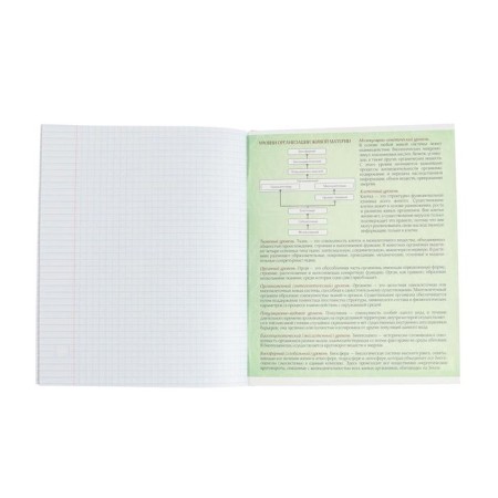 Subject subject calligrata "football", 48 sheets in a biology cage, with reference material, cover coated cardboard, UV-lak, OFSET block-3