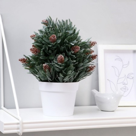 Bonsai in the pot "coniferous bush" 10x24 cm