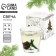 New Year's gel candle in a glass with a decor inside “New Year: spruce forest” 5 x 5 x 6 cm