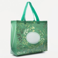 Household bag without fastening, green color