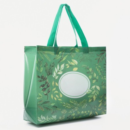 Household bag without fastening, green color