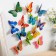 Magnet Plastic "Butterfly Gold Blacks" double wings 9.5x7 cm