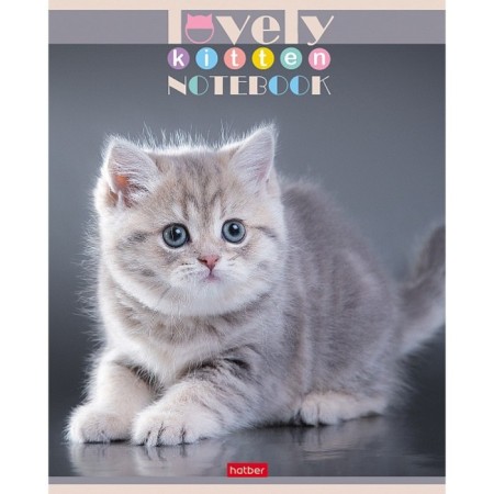 A notebook of 60 sheets in a cage, "everyone loves cats", covering a shared cardboard, an offset block 65g/m2, 5 species, mix-3