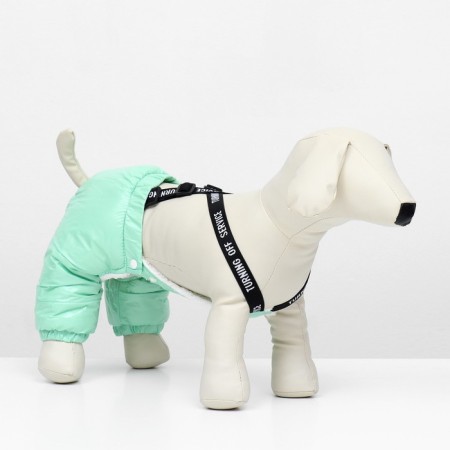 Complex-stroke for dogs, size M (DS 36, from 40 cm), mint-1