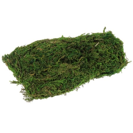 Moss for decor 50 g green-1