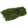 Moss for decor 50 g green