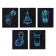 A notebook of 96 sheets in the Erichkrause "X-Ray in detail", holographic lamination, an offset block 100%, mix
